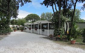 Camping Pineta